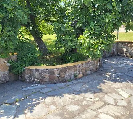 ρόζμαρι Studio Paliouri