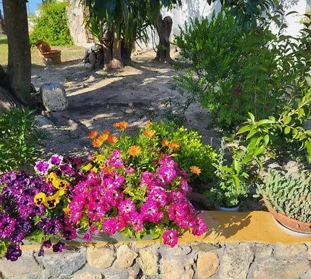 ρόζμαρι Studio Paliouri