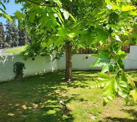 ρόζμαρι Studio Apartment Paliouri