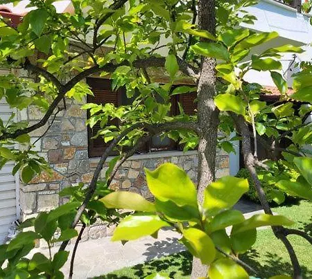 ρόζμαρι Studio